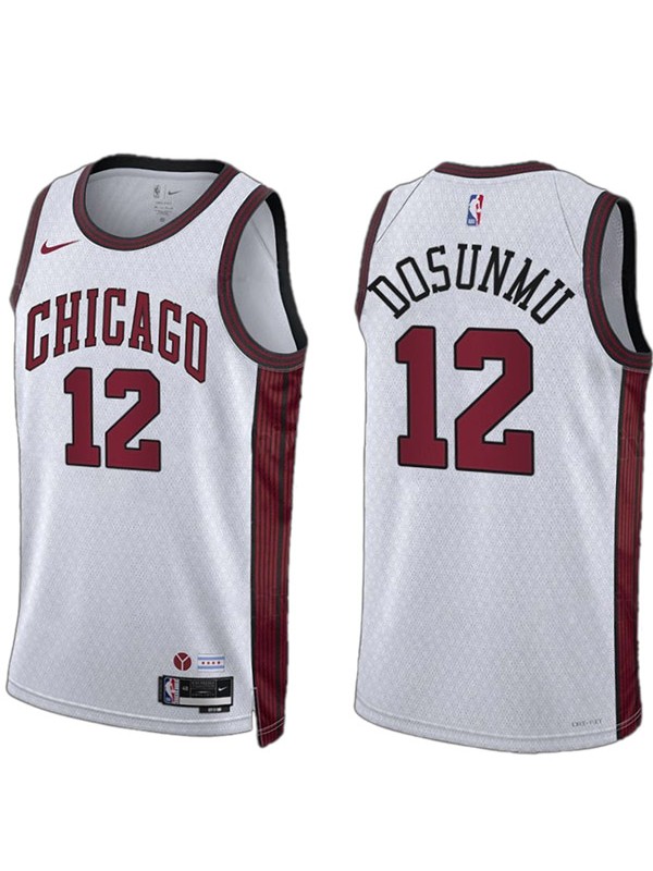Chicago Bulls Ayo Dosunmu jersey men's 12 city basketball uniform swingman white kit limited edition shirt 2023