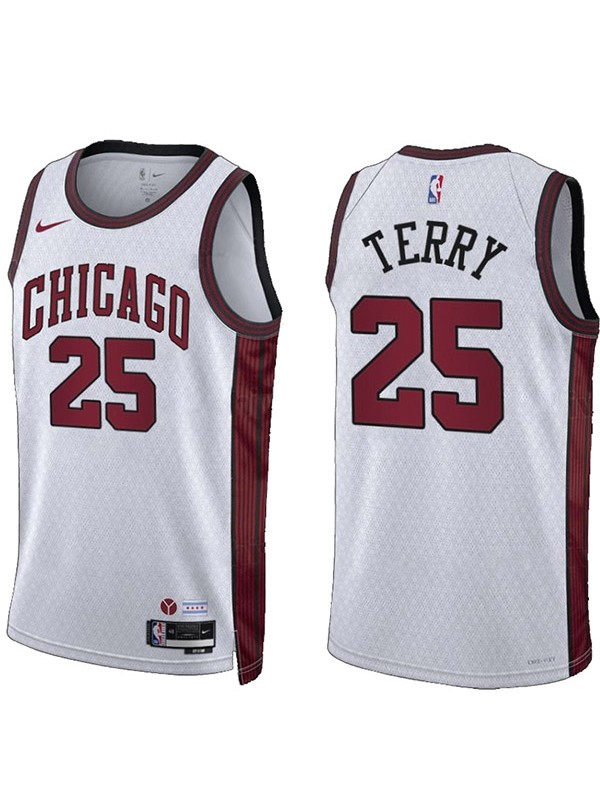 Chicago Bulls Dalen Terry jersey men's 25 city basketball uniform swingman white kit limited edition shirt 2023