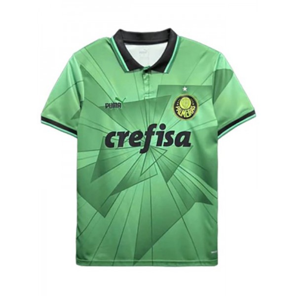 Palmeiras maillot édition spéciale uniforme de football vert kit de football de sport pour hommes chemise haute 2023-2024