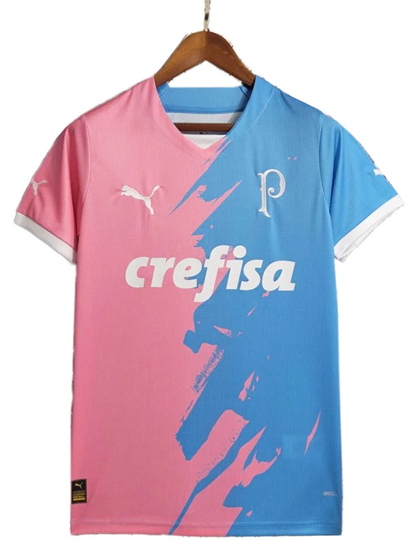 Palmeiras édition spéciale maillot uniforme de football homme bleu rose kit de football de sport chemise haute 2023-2024