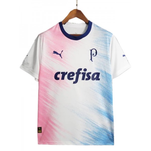 Palmeiras édition spéciale maillot uniforme de football kit de football de sport blanc pour hommes chemise haute 2023-2024