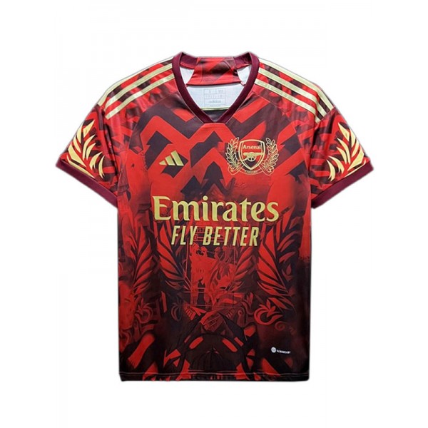 Arsenal édition spéciale maillot de football uniforme kit de football pour hommes maillot de sport rouge 2023-2024