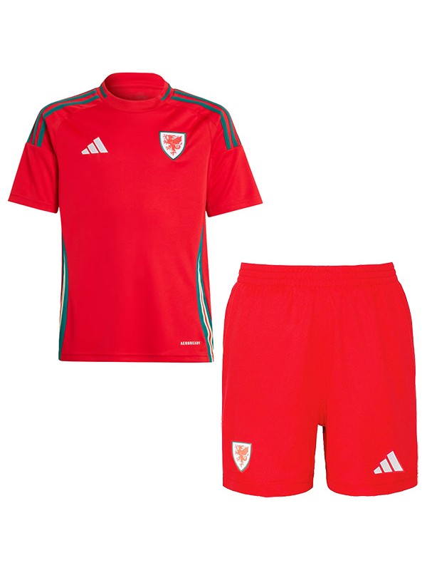 Wales maillot enfant domicile kit de football pour enfants premier mini-maillot de football uniformes pour jeunes coupe Euro 2024
