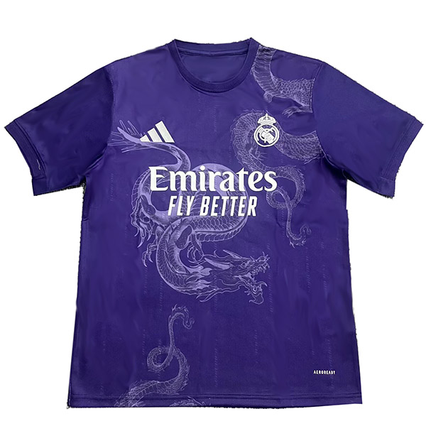 Real madrid maillot de dragon uniforme de football édition spéciale maillot haut de sport kit de football violet homme 2024-2025