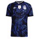 Argentina away jersey 2026 world cup