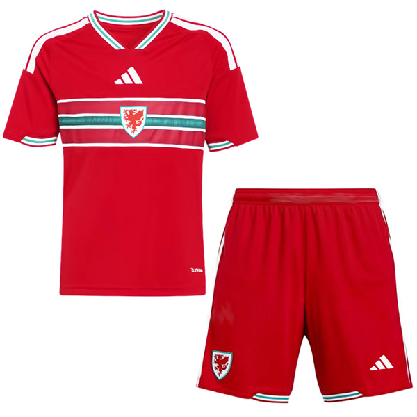 Wales home kids kit childrens jersey 2026 world cup