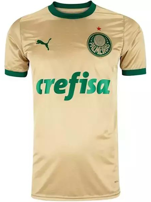 Palmeiras troisième maillot de football uniforme hommes 3ème tenue de sport kit de football haut chemise 2024-2025