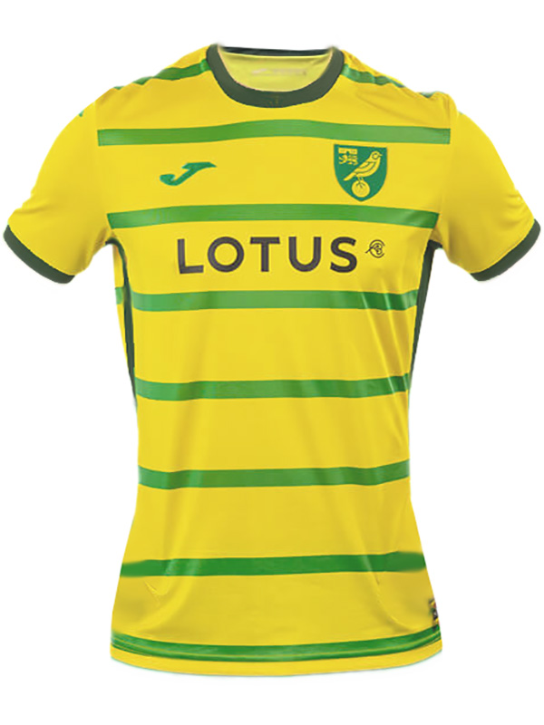 Norwich City maillot domicile uniforme de football premier kit de football pour hommes haut maillot de sport 2023-2024